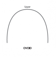 OVOID UPPER
